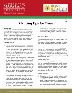 Planting Tips for Trees HG 24 - University of Maryland Extension