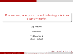 Risk aversion, input price risk and technology mix in an