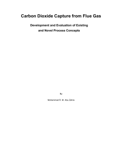 Carbon Dioxide Capture from Flue Gas