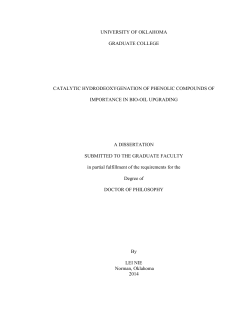 Doctoral Dissertation Template
