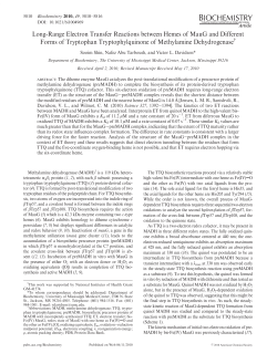Long-Range Electron Transfer Reactions between Hemes of MauG