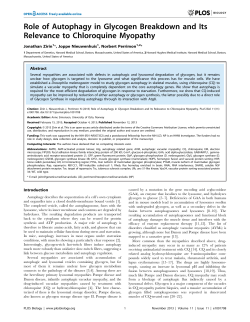 Role of Autophagy in Glycogen Breakdown and Its
