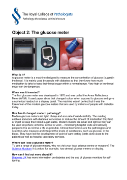 Object 2: The glucose meter