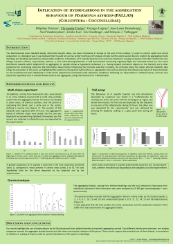Diapositive 1