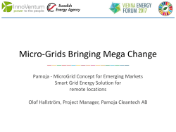 Olof Hallstr&ouml;m - Vienna Energy Forum