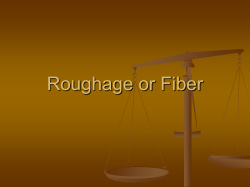 Roughage or Fiber Presentation