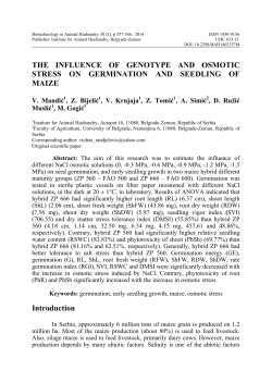THE INFLUENCE OF GENOTYPE AND OSMOTIC STRESS ON