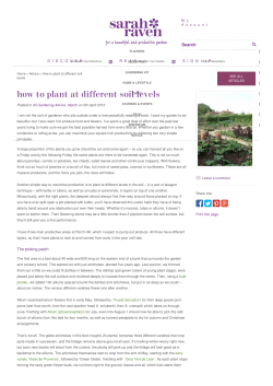 How to plant at different soil levels