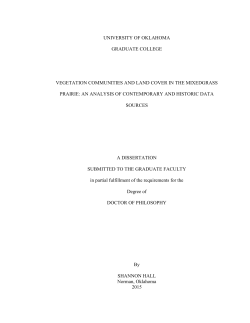 Honey mesquite and mixed grasses dominate this area