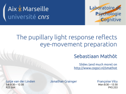 The pupillary light response reflects eye