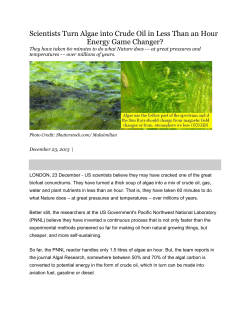 Scientists Turn Algae into Crude Oil in Less Than an Hour Energy