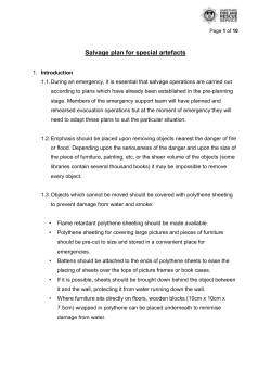 Salvage plan for special artefacts
