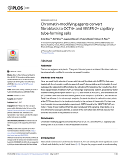 Chromatin-modifying agents convert fibroblasts to OCT4+