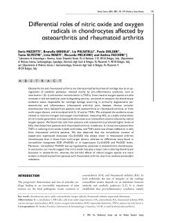 Differential roles of nitric oxide and oxygen radicals in chondrocytes