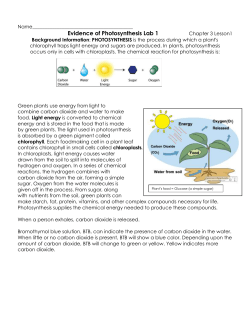 Evidence of Photosynthesis Lab 1