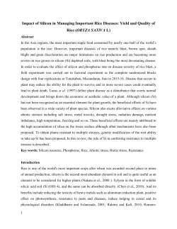 Impact of Silicon in Managing Important Rice Diseases: Yield and