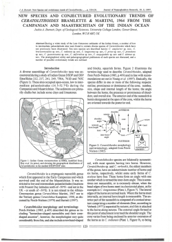 new species and conjectured evolutionary trends of ceratolithoides