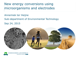 New energy conversions using microorganisms and electrodes