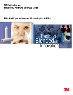 3M Purification Inc.