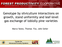 leaf-level physiology