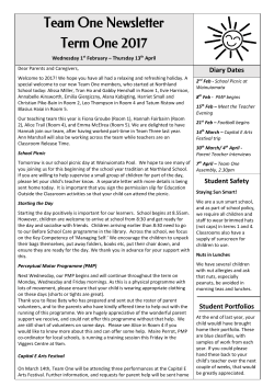 Team One Newsletter Term One 2017
