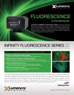 infinity fluorescence series