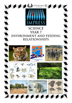 Science Yr 7 Environment and feeding relationships