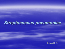 Streptococcus pneumoniae