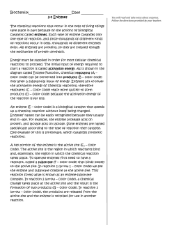 Enzyme Coloring Sheet