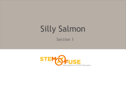 Silly Salmon