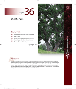 Plant Form - BiologySc