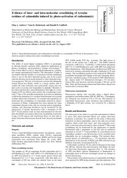 Evidence of inter- and intra-molecular crosslinking of tyrosine