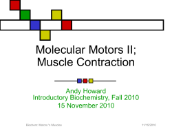 Molecular Motors I