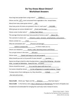 Do You Know About Onions? Worksheet Answers