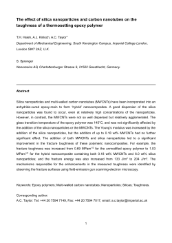 Hsieh cnt+nanosilica - Spiral