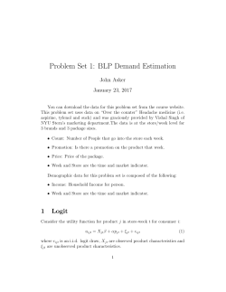 Problem Set 1: BLP Demand Estimation
