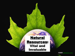 Natural Resources