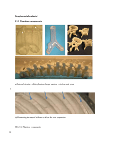 Supplemental material Med Phys Phantom proof