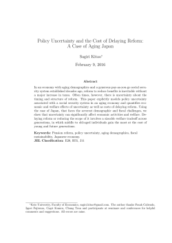 Policy Uncertainty and the Cost of Delaying Reform: A Case of