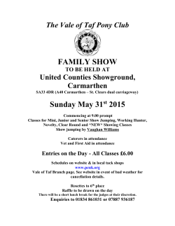 The Vale Of Taf Pony Club