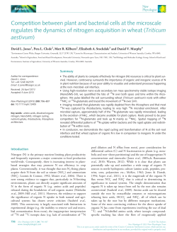 Competition between plant and bacterial cells at the microscale