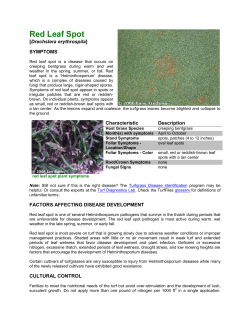 Red Leaf Spot