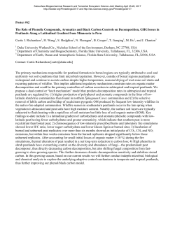 The Role of Phenolic Compounds, Aromatics and Black Carbon