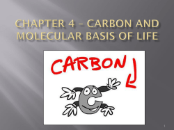 Chapter 4 * Carbon and molecular basis of life