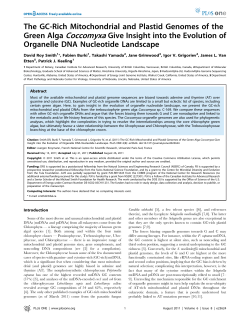 The GC-Rich Mitochondrial and Plastid Genomes of the Green Alga
