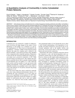 A Quantitative Analysis of Contractility in Active Cytoskeletal Protein