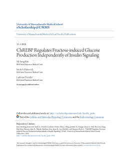 ChREBP Regulates Fructose-induced Glucose Production