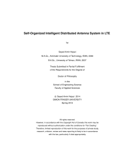 Self-Organized Intelligent Distributed Antenna System in LTE