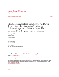 Metabolic Bypass of the Tricarboxylic Acid Cycle during Lipid