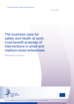 Cost-benefit analyses of interventions in small and - EU-OSHA